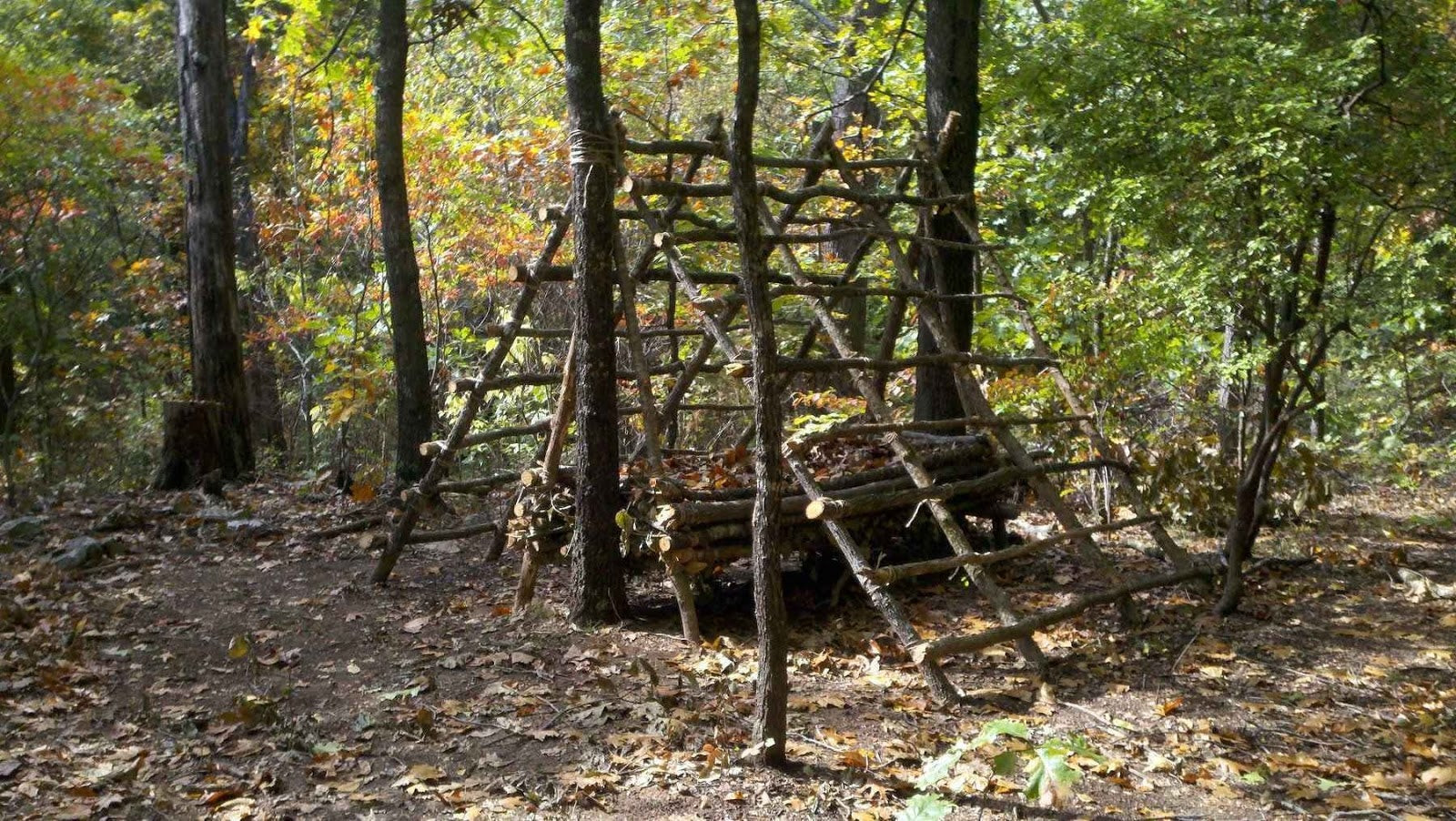 Αυτάρκες νοικοκυριό…για επιβίωση στα σπίτια μετά από ένα οικονομικό κραχ!